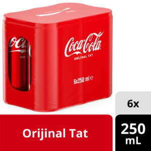 Coca-Cola Orijinal Tat 6x250 ml Kutu (Multipack)